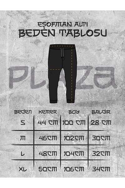 Plaza Butik Men's Half Zipper Sweatshirt Men's Lion Printed Bottom Top Tracksuit Set
