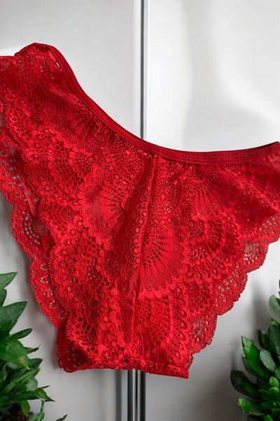 BLİSS WEAR FASHION Women's 3-Piece Lace Panties