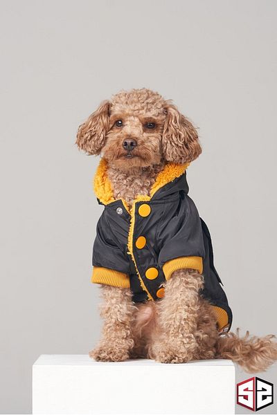 salya store Waterproof Midnight Design Dog Coat - Small Breed Raincoat Clothing