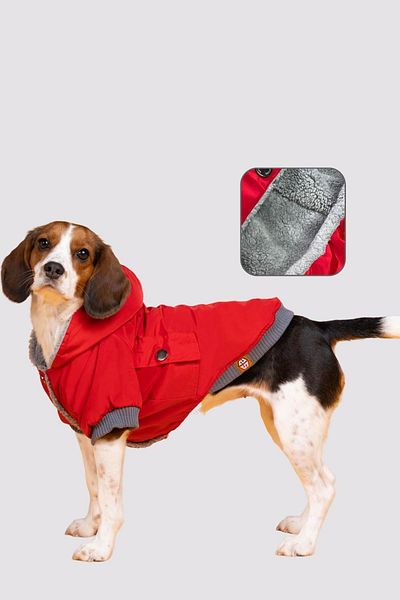salya store Dog Clothing, Red Waterproof Dog Coat, Dog Raincoat, Small Breed Dog Clothing