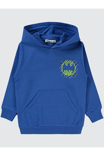 Batman 2-5 Years Old Boy Hooded Sweatshirt - Sax Blue