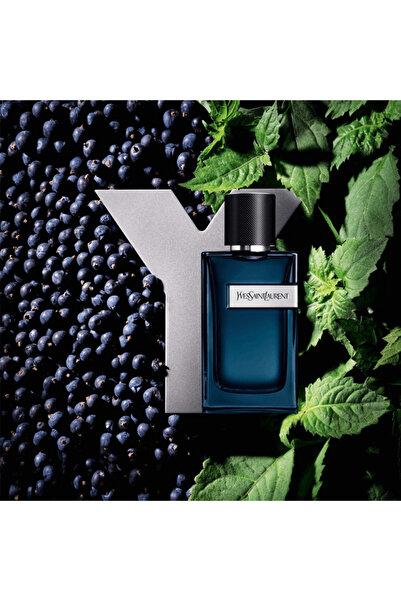 Yves Saint Laurent Y for Men - Eau de Parfum Intense, 100 ml