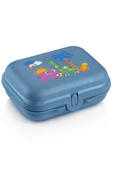 Tupperware Safari Blue Carrying Container