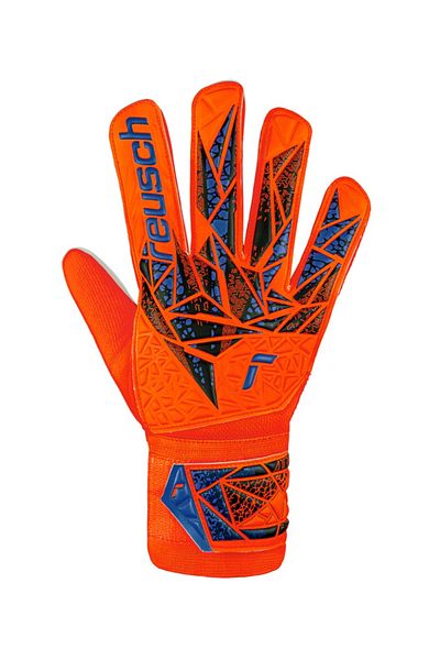 Reusch Attrakt Starter Solid Keeper Glove 5470514 -2210