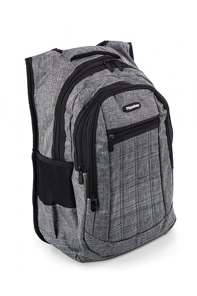 Pippa Fountain Three-Eyed Gray Men's School Casual and Travel Backpack