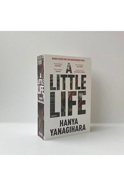 Picador A Little Life