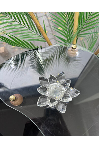 Cyz Home Gaelle Dekoratif Lotus