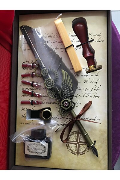 GA Mark Tüylü Mürekkepli Divit Kalem Seti Captan Log