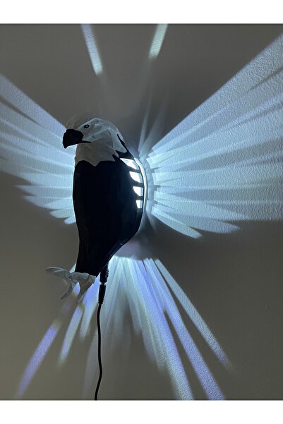 HF DESIGNER KARTAL GECE LAMBASI SİYAH BEYAZ LEDLİ (VİDEOLU ÜRÜN)