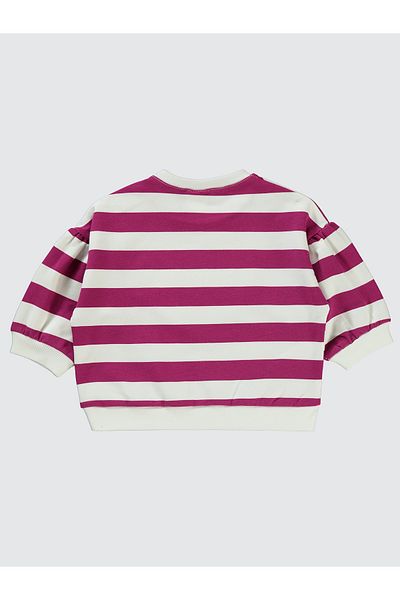 Civil Baby Baby Girl Sweatshirt 6-18 Months Orchid Purple