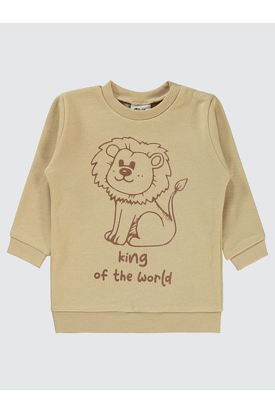 Civil Baby 6-18 Months Baby Boy Milk Coffee Sweatshirt