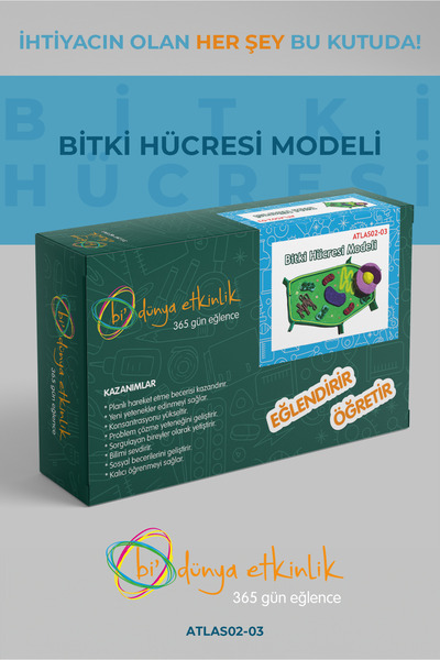 bi dünya etkinlik Bitki Hücresi Modeli Deney Seti | 02-03