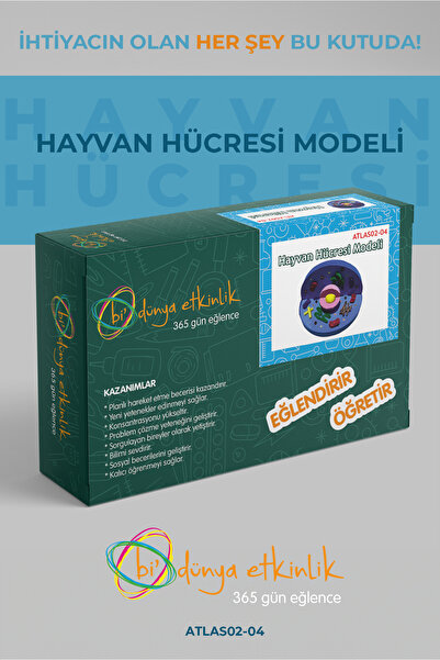 bi dünya etkinlik Hayvan Hücresi Modeli Deney Seti | 02-04