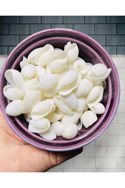 Flea Market ВНОСЕНА морска черупка - Vmbra Swan - (60 г - приблизително 40-55...