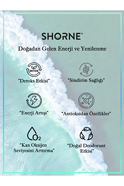 Shorne Likit Klorofil & Doğal Nane Yağı & Doğal Limon Yağı ( 3 Adet )