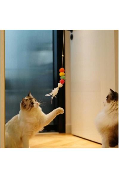 Peddy Cat Toy Adhesive Fishing Rod Training Toy Self Adhesive Extending Colorful Cat Play Fishing Rod