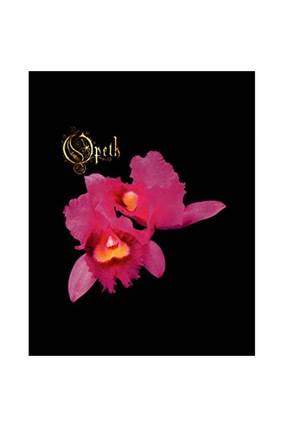 Z zepplin Opeth Orchid Patch mare pe spate