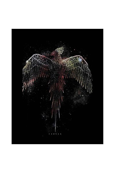 Z zepplin Patch de spate mare Phoenix Phoenix