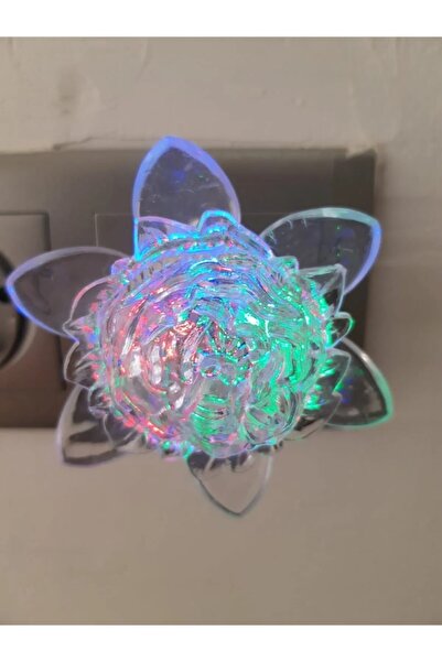 Kastore Gül Figürlü Renkli Rgb Fişli Dekoratif Gece Lambası Çocuk Odası Aydın...