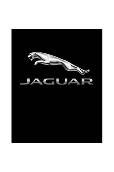Z zepplin Patch de rucsac mare argintiu cu logo Jaguar