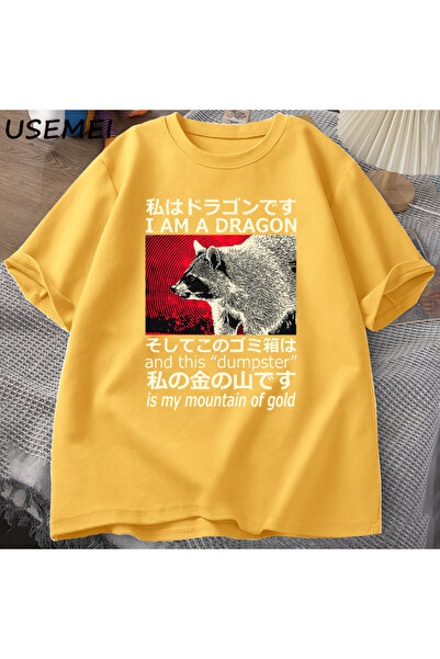 Drippy Majica Dragon Raccoon Japanski stil Pamuk kratkih rukava Retro Harajuk...