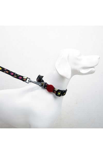 Tailpetz Rainbow Neck Collar