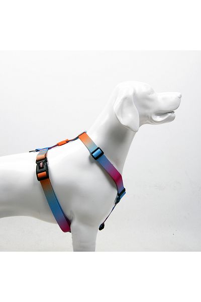 Tailpetz Pass H-Type Chest Collar Adjustable, Comfortable and Durable Patterned Dog Collar