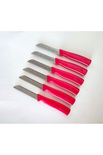 Solingen Solingen Fruit and Vegetable Knife with 12 Serrated, Red