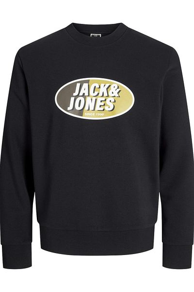 Jack & Jones 12267544 Hanorac pentru bărbați Jcoray Color Sweat Crew Neck Fst