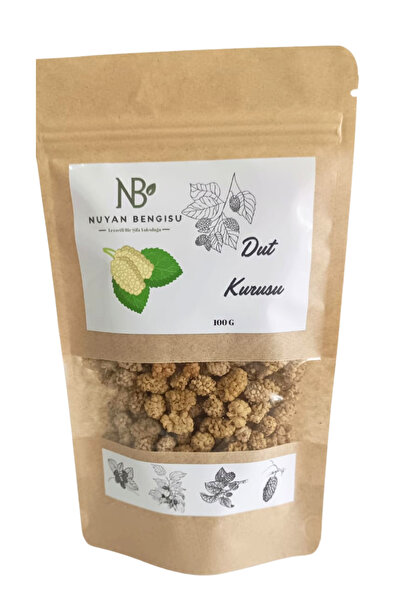 Nuyan Bengisu التوت المجفف 100 جرام - وجبة خفيفة صحية - وجبة خفيفة - تغذية صح...