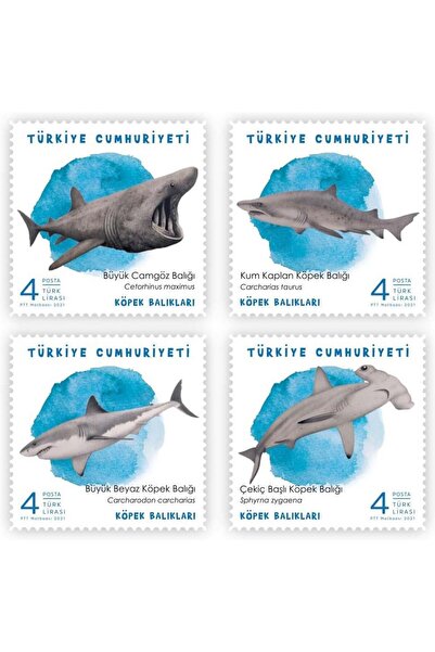 Benim Koleksiyonum Köpek Balıkları - Anma Pulu