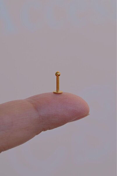 Sacce Scarves&Accessories Gold 2 mm Küçük Toplu Çelik Piercing Tragus Helix Kıkırdak Lob Conch Burun Minimal Ürün