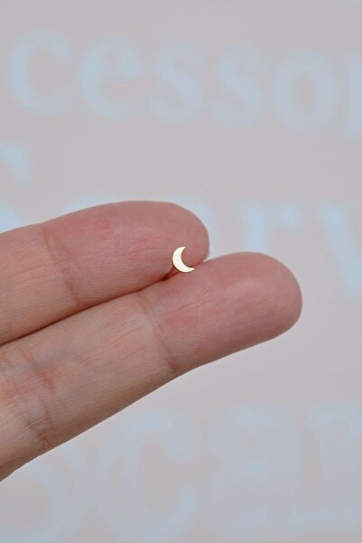 Sacce Scarves&Accessories Mini Ay 316 L Çelik Hızma Gold Renk Hilal Ay