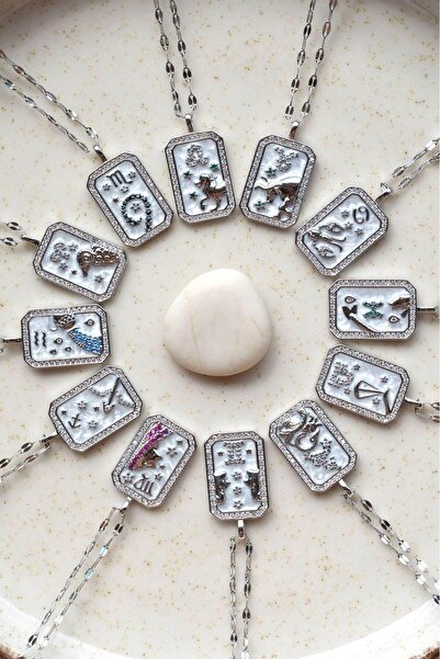 Sacce Scarves&Accessories Akrep Burcu Kolye Çelik Burç Kolye Akrep Gümüş Renk