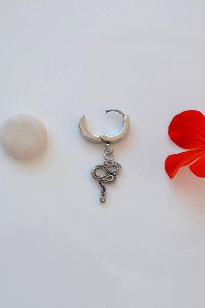 Sacce Scarves&Accessories Men's Silver Colored Snake Steel Hoop Earrings