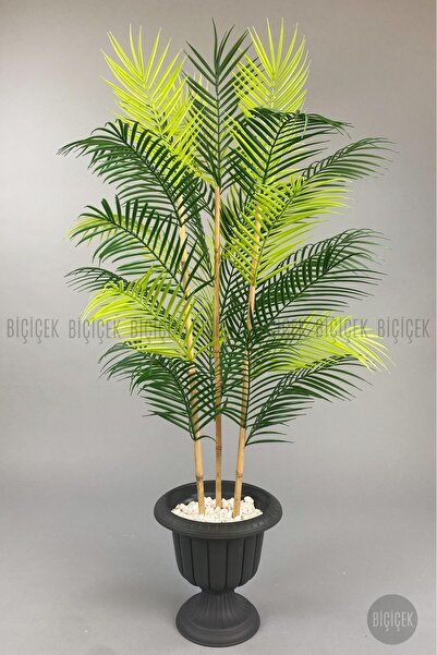 BİÇİÇEK 125cm Areka Ağacı 24 yapraklı Nergiz Saksıda