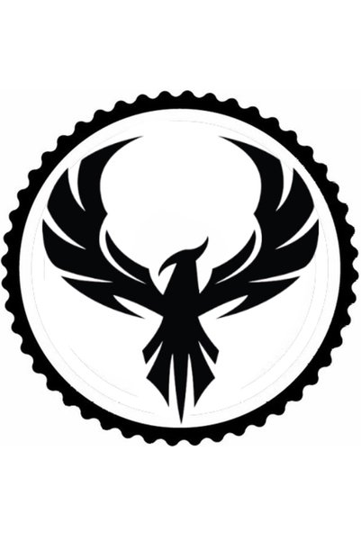 Generic Brand Eagle Pattern 2.Model Design Sticker 20 X 20 cm