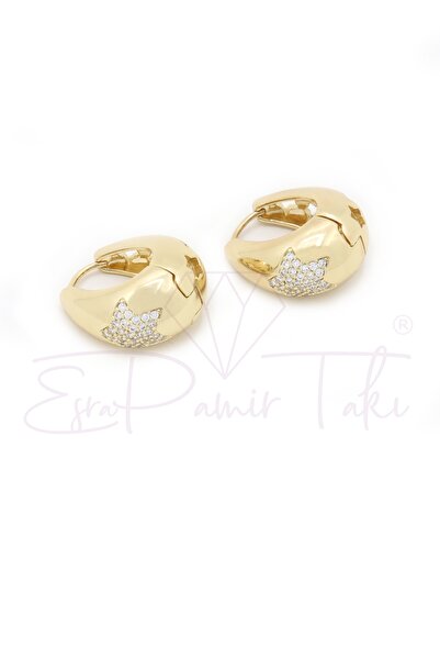 Gold Color Earrings with Zircon Gemstone