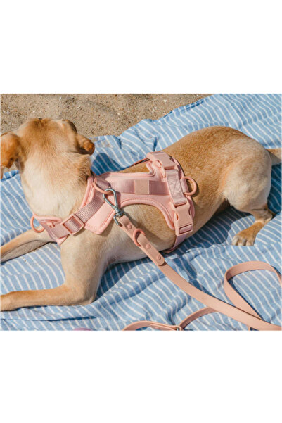 PAKEWAY Çok Fonksiyonlu 4 Parça Köpek Tasması Gezdirme Seti Su Geçirmez Rulo Dışkı Poşeti Hediyelidir