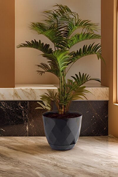 TEMMUZ HOME No 5 Karasu Plastik Yakamoz Saksı Büyük Boy Tabaklı Plastik Saksı