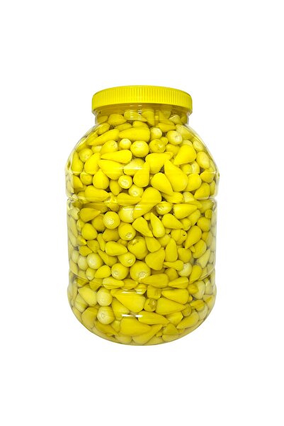 İLHAN TAŞKESTİ ÇUBUK BİBERİYE TURŞUSU, 5KG