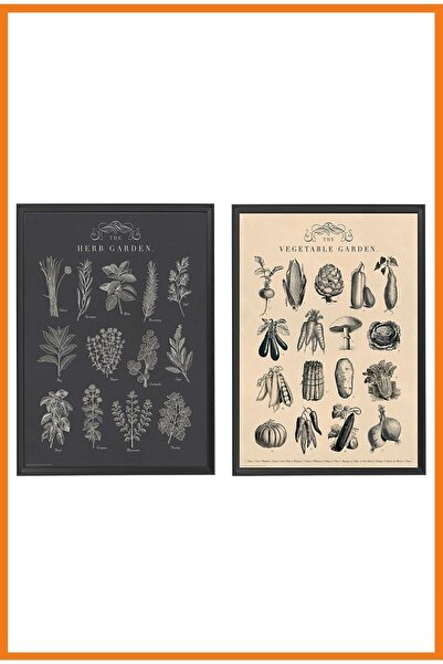 Alony Home Knoppang Sebzeler Ve Bitkiler Çerçeveli Resim 2 Adet 40 X 50 Cm Çok Renkli