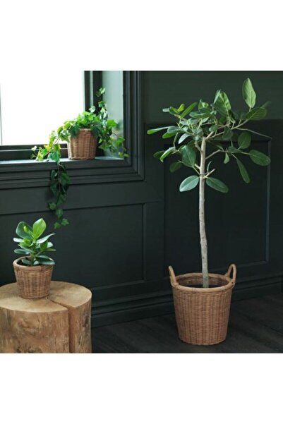 IKEA Hasır Görünümlü ,rattan Saksı 24 Cm Bitki-çiçek Saksısı