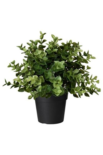 IKEA Keklikotu Çiçeği Yapay Keklik Otu Bitkisi 9 Cm Yapay Bitki Ev Dekorasyon