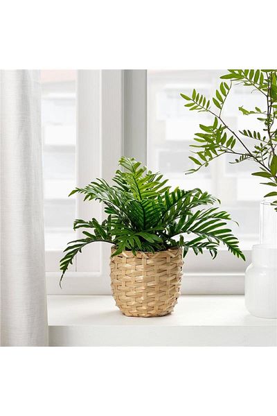 IKEA Fejka Τεχνητό Φυτό Πολυπόδιο 9 εκ 50493349