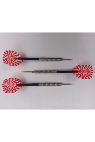 DARTSAN Tırtıl Dt23 Tungsten Dart Oku 23 Gr.