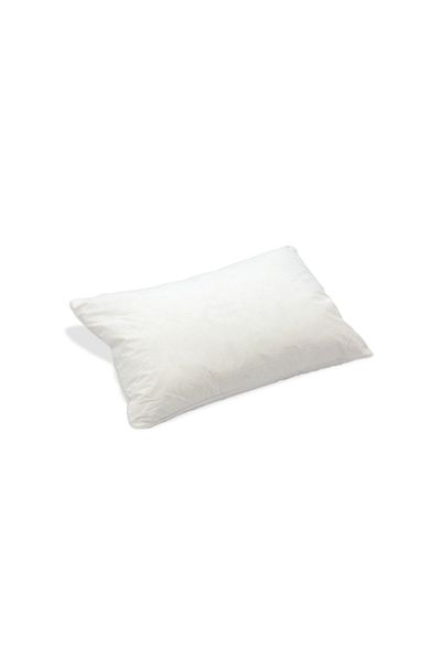 Cannon Premium Natural Feather Queen Pillow