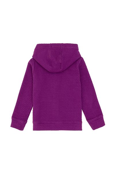 U.S. Polo Assn. Girl's Violet Sweatshirt 50290724 -Vr037