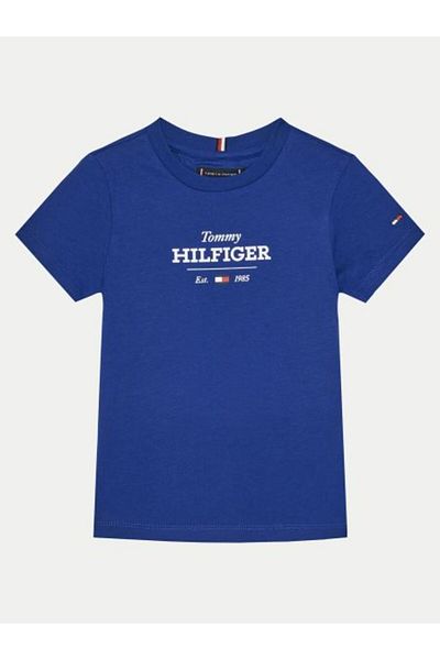 Tommy Hilfiger Tommy Hilfiger Boys Blue T-Shirts