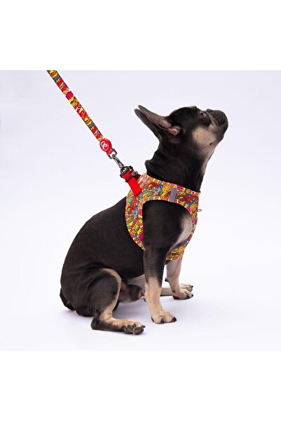 Pawstar Wow Leash & Air-Mesh Kedi Köpek Tasma ve Gezdirme Kayışı Seti Tasma Seti